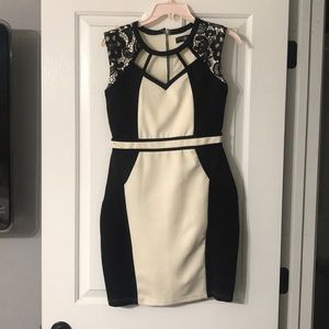 NWOT Never worn Cream and black dress.